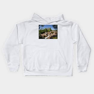 Buachaille Etive Mor , the Highlands , Scotland Kids Hoodie